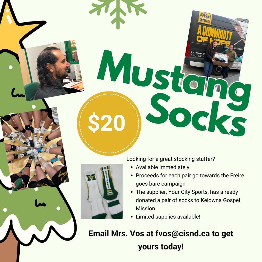 Mustang socks