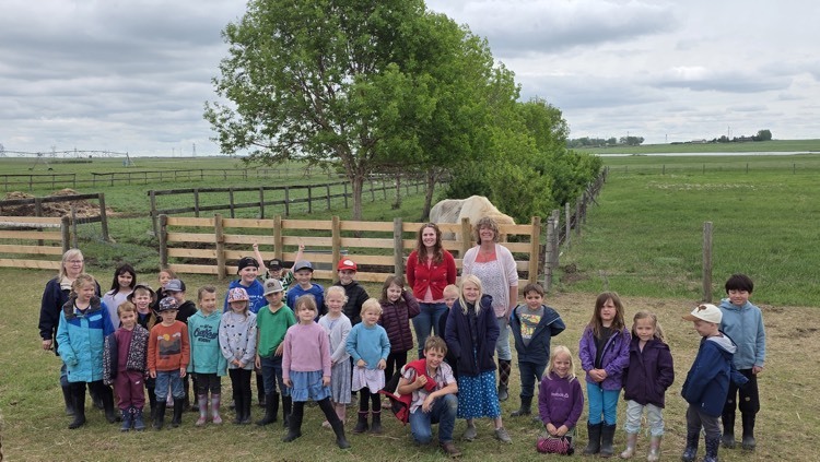 white barn fun farm