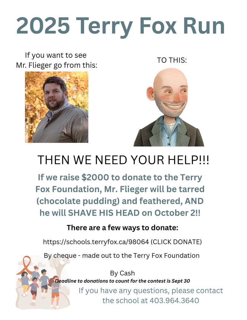 Terry Fox poster