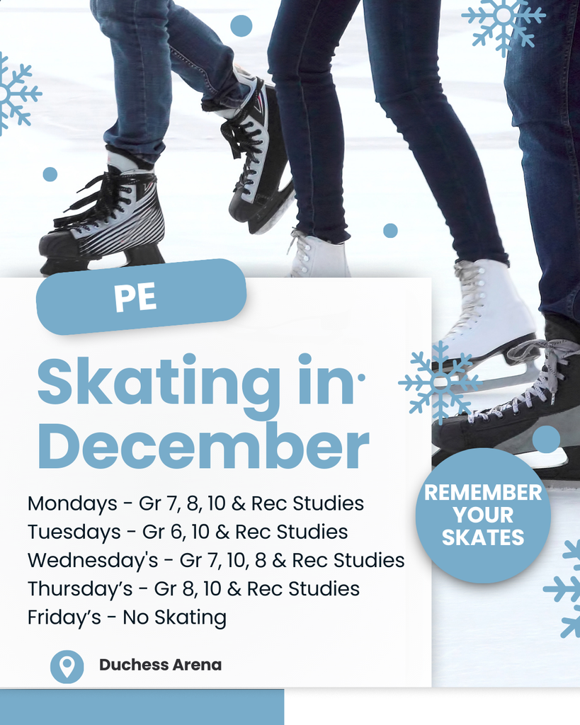 Mr. V's P.E Classes are skating!