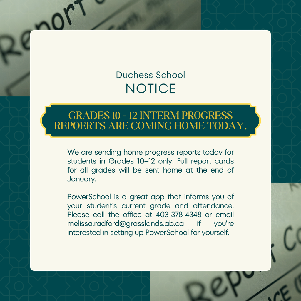 Interim Progress Reports