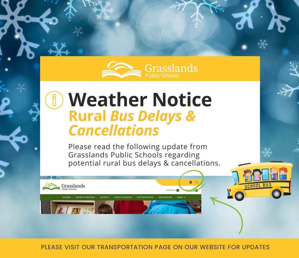 Bus DelaysCancellations Graphic (1)