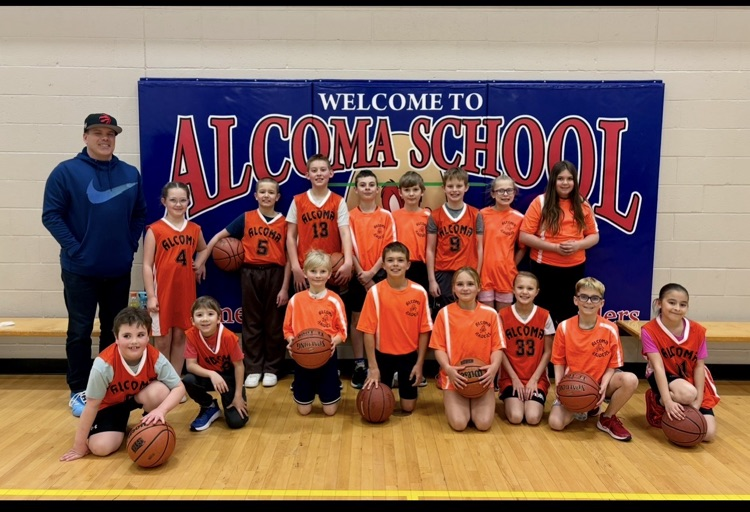 mini basketball