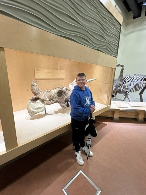 Dinosaur Park