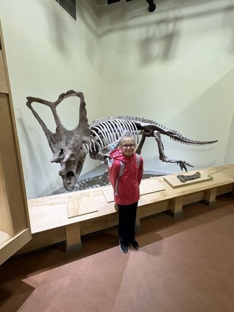 Dinosaur Park