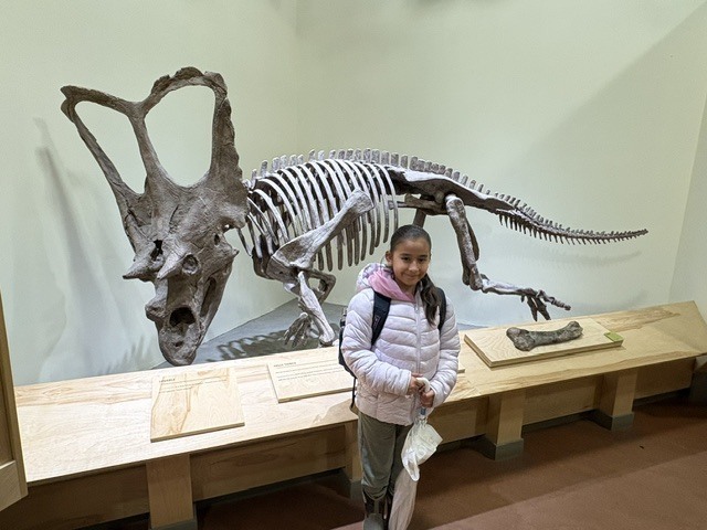 Dinosaur Park