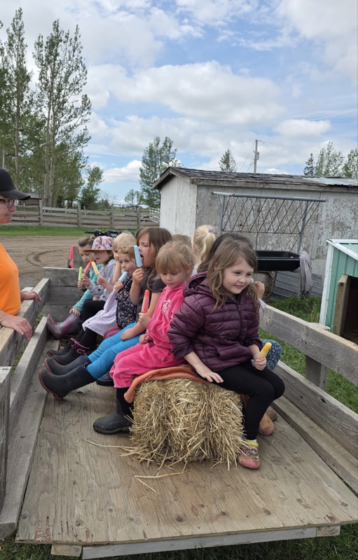 white barn fun farm