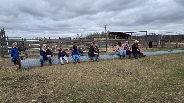 white barn fun farm