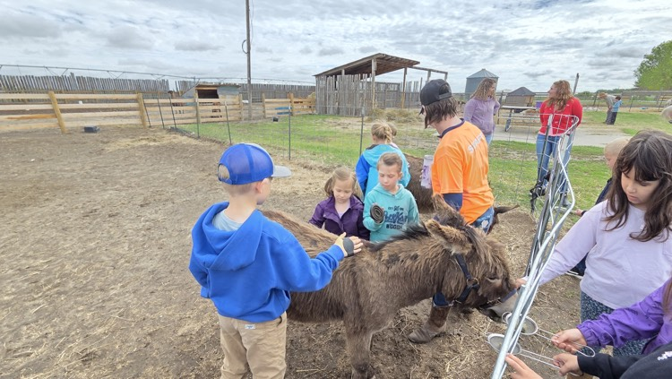 white barn fun farm