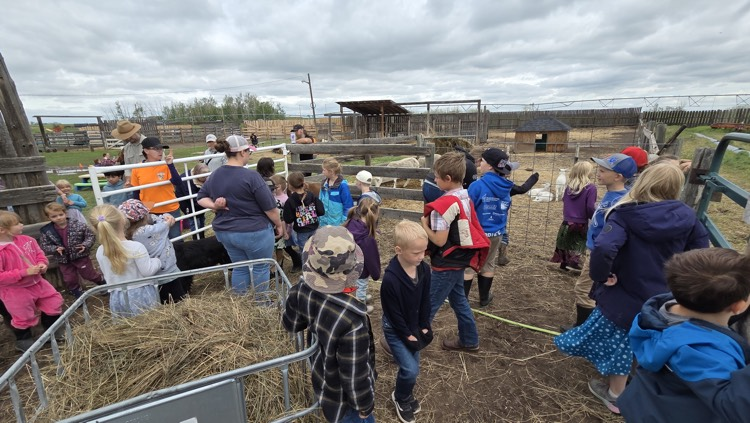 white barn fun farm