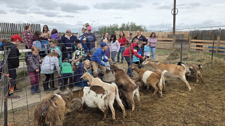 white barn fun farm