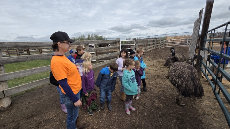 white barn fun farm