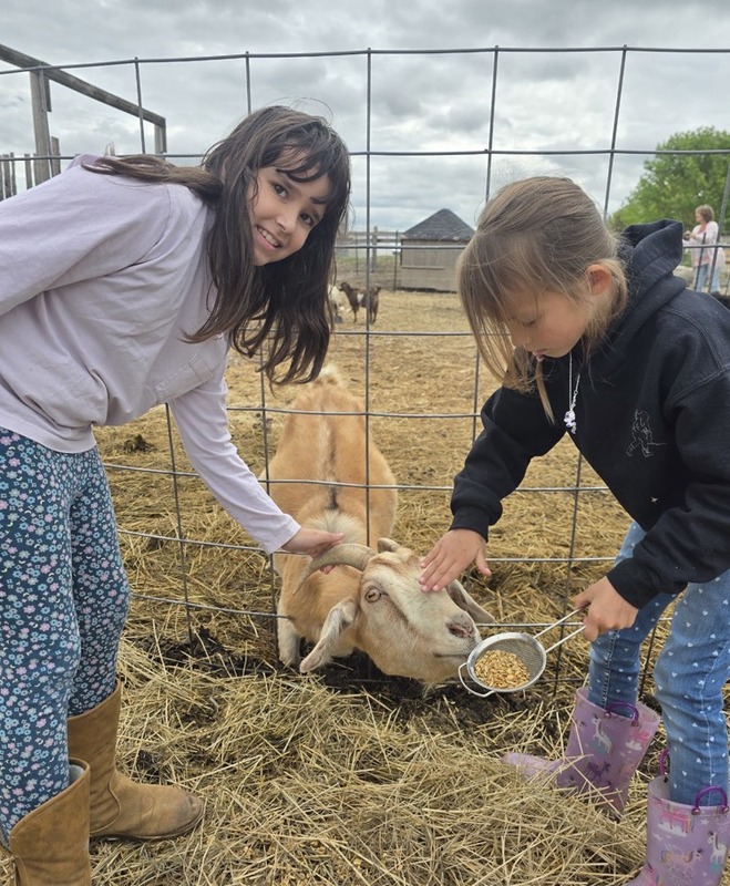 white barn fun farm 