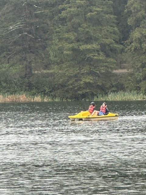 Camping
