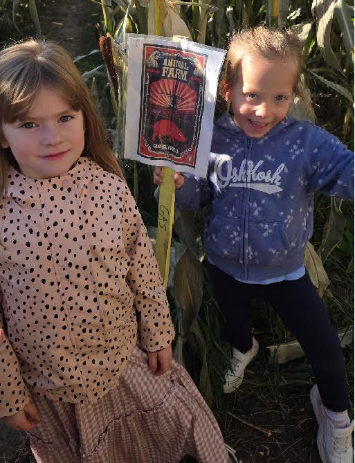 Corn maze