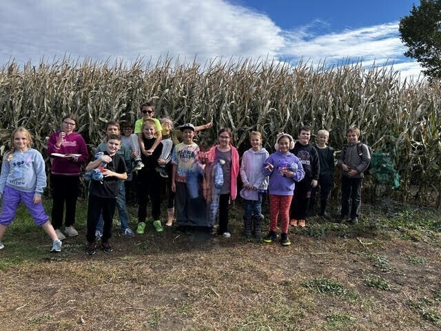 Corn maze