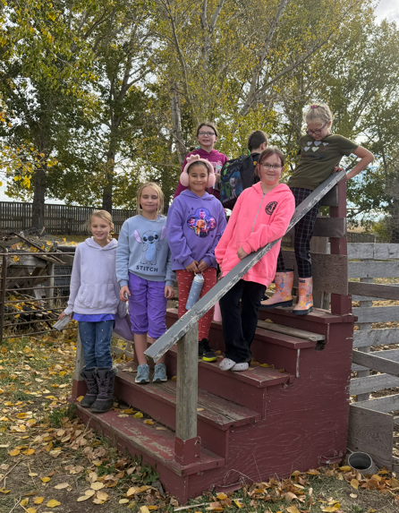 Corn maze