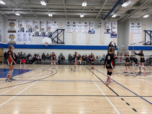 Displaying 3886855113010630163.jpg