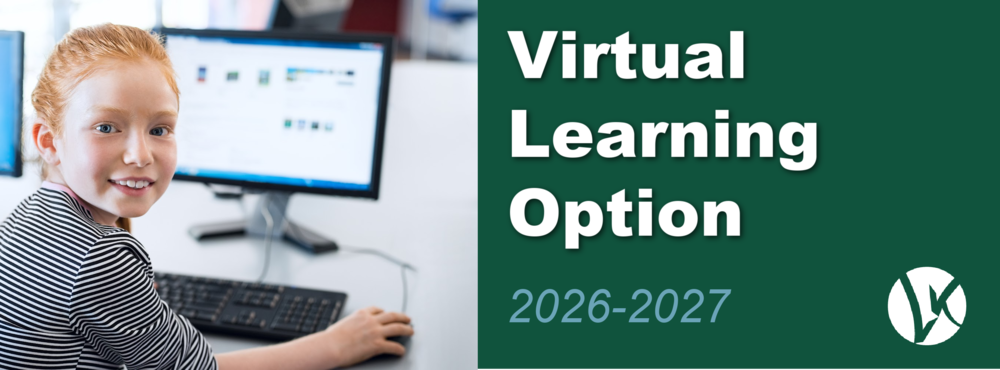 Virtual Learning Option