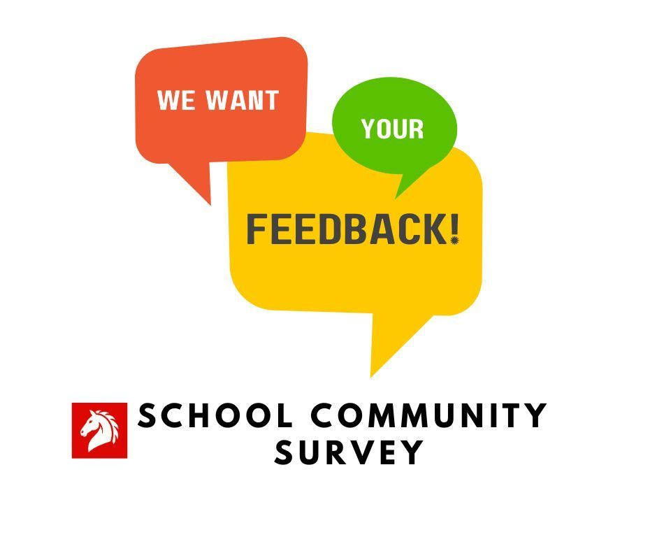 Feedback image