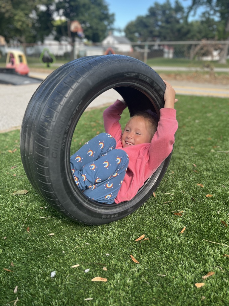 tire swing