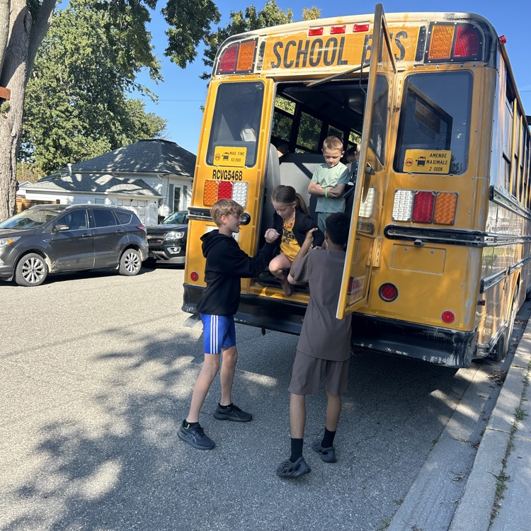 bus