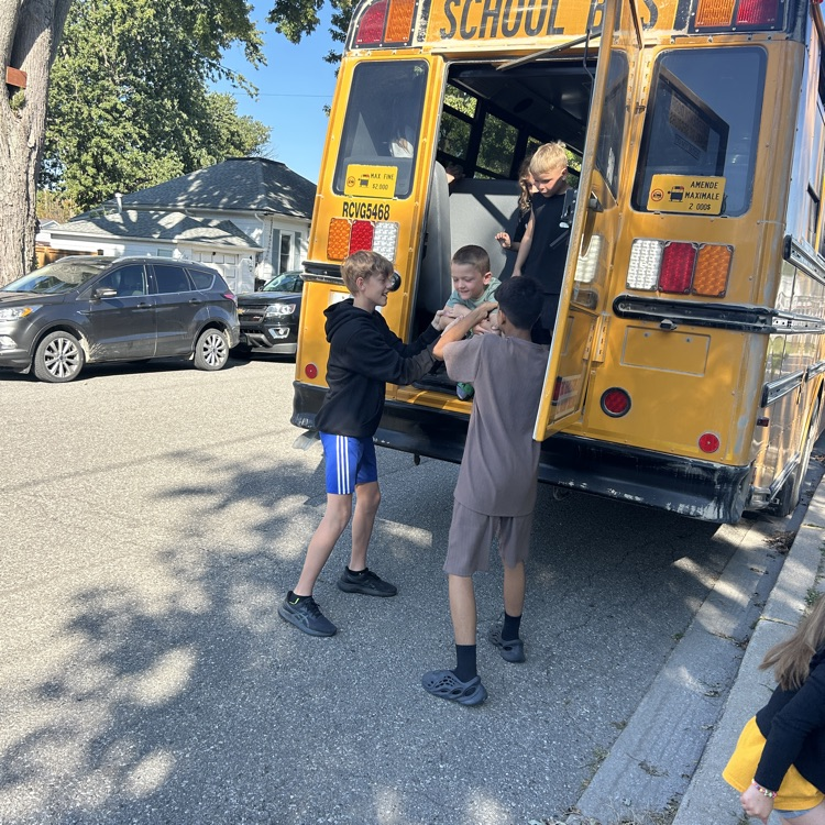 bus