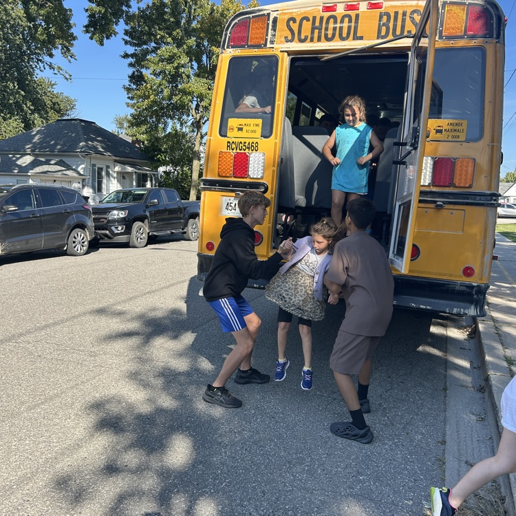 bus