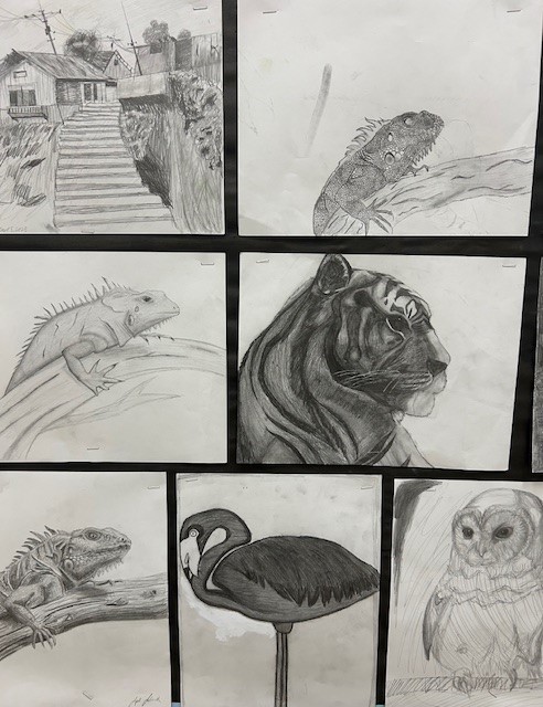 Visual Arts Exploring Techniques