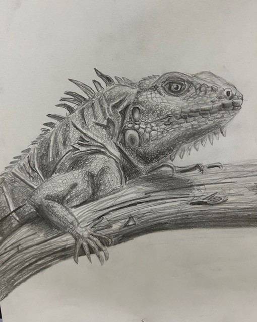Visual Arts Exploring Techniques