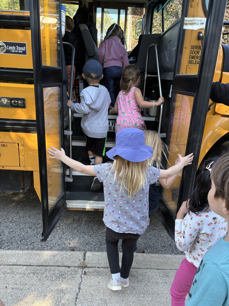 bus