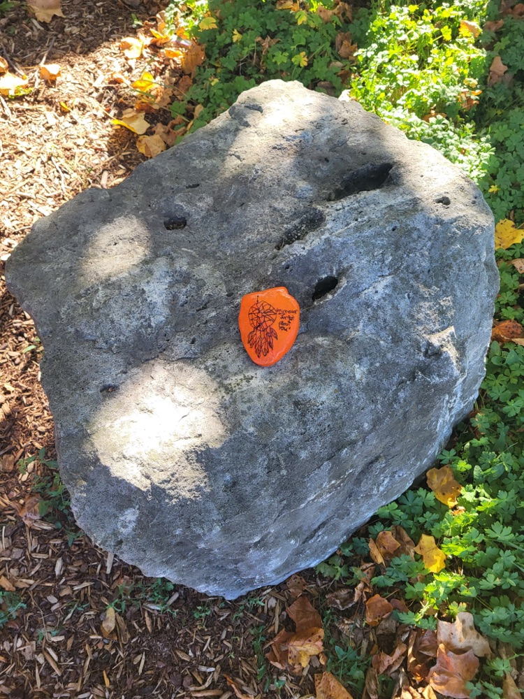 Painted rocks in garden