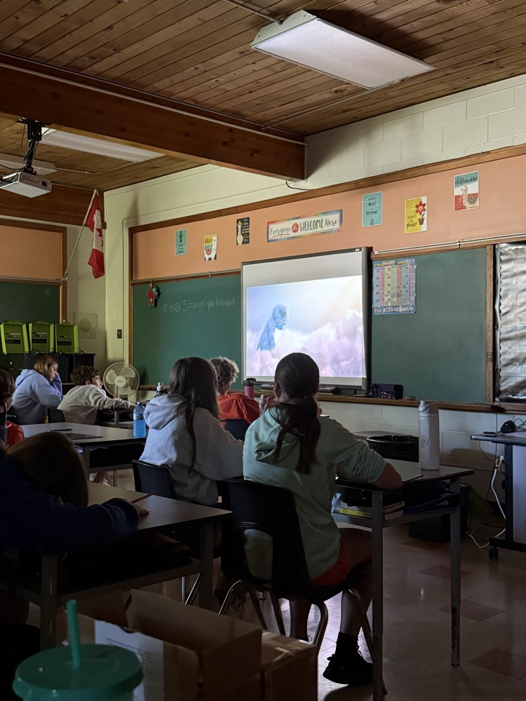 students watching video in classroom 