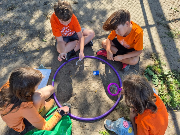 soil scientists activity 