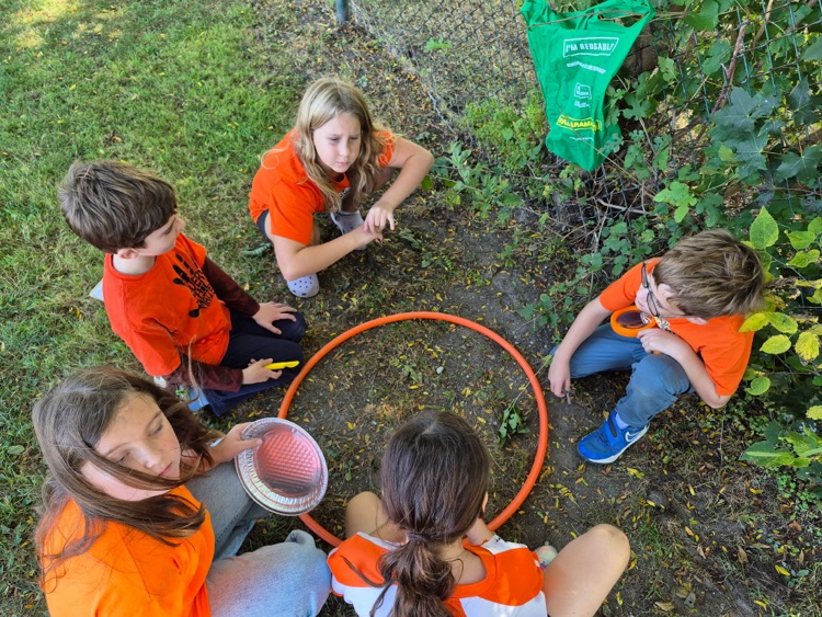 soil scientists activity 