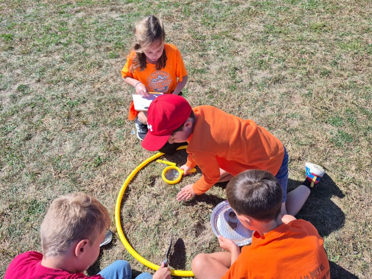 soil scientists activity 