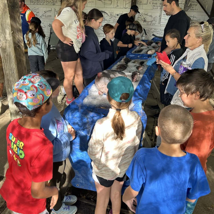 water festival