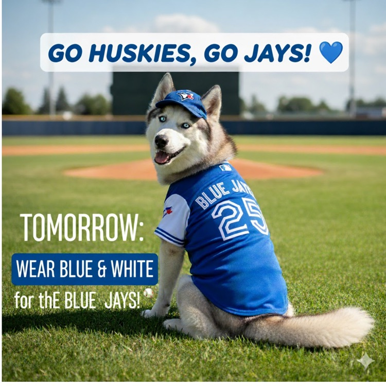 Husky supporting the jays
