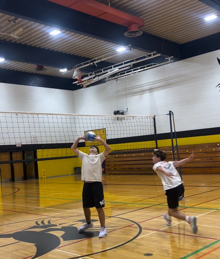 playing volleyball