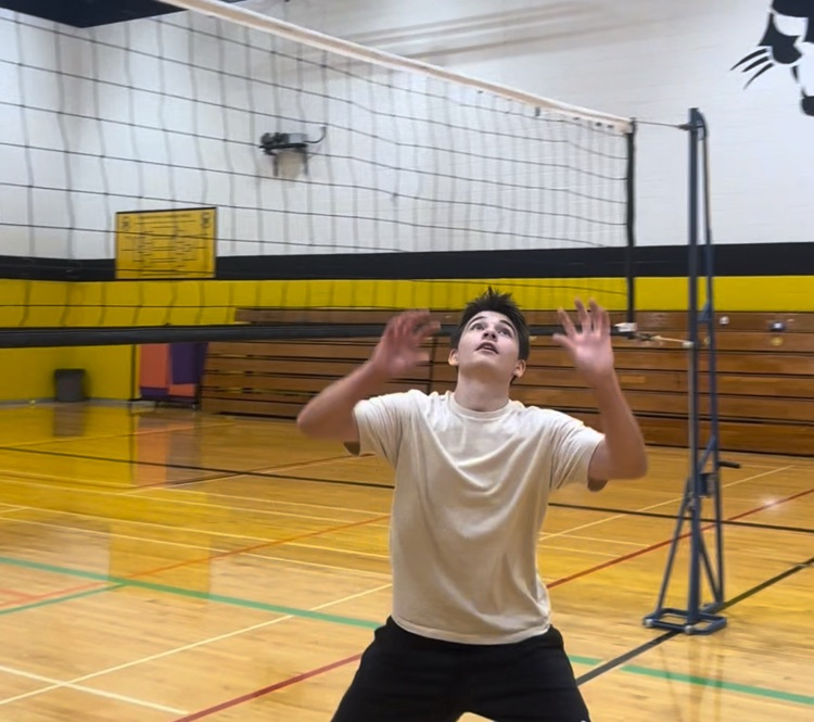 playing volleyball