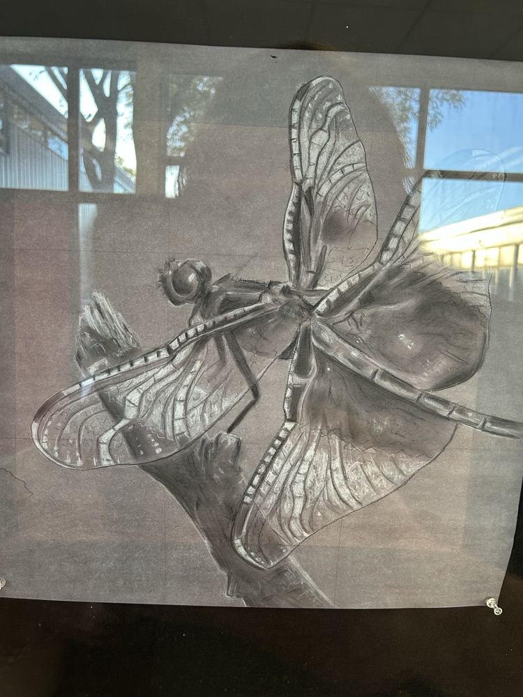 art 6
