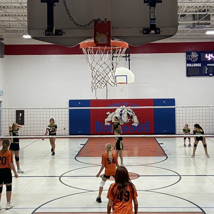 Jr. Girls Volleyball Team