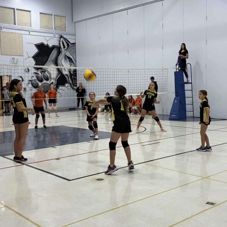 Jr. Girls Volleyball Team