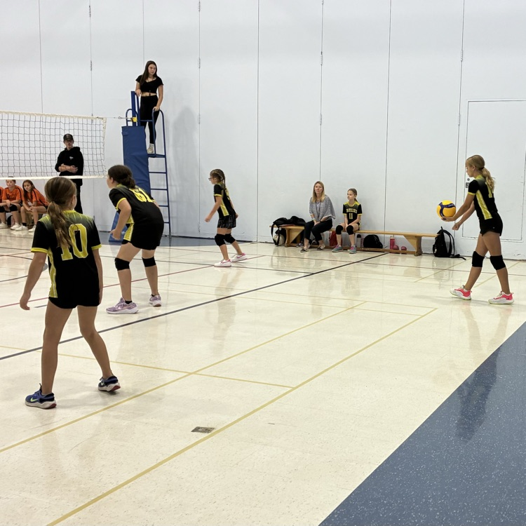 Jr. Girls Volleyball Team