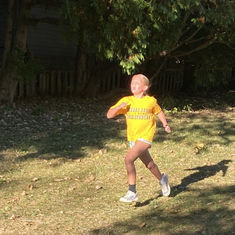 Cross Country