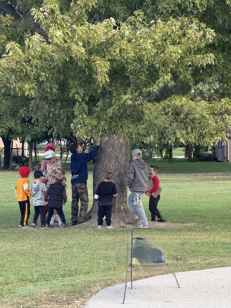 Group of students looking at a tree during a nature hunt