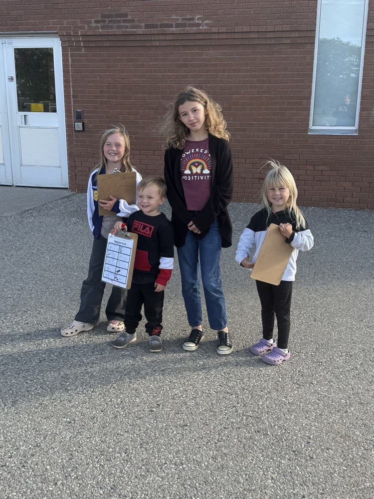 A group of four students going on a nature hunt