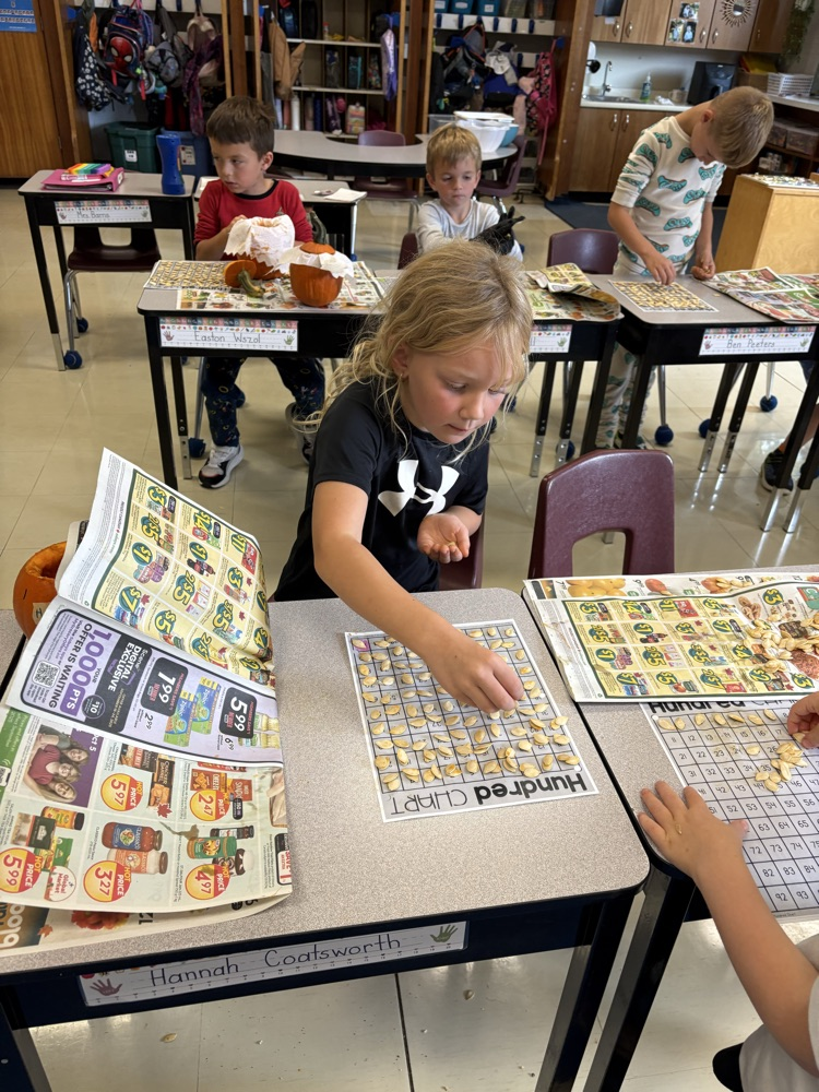 counting pumpkin seeds 