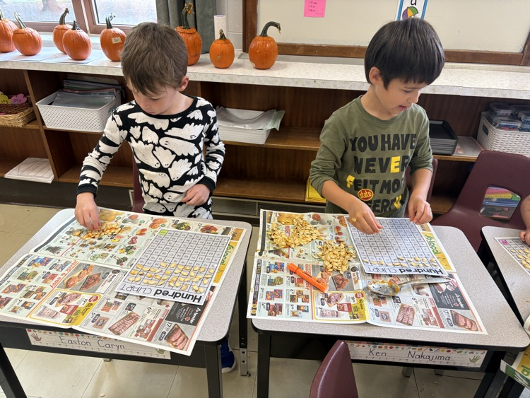 filling a hundreds chart with seeds 