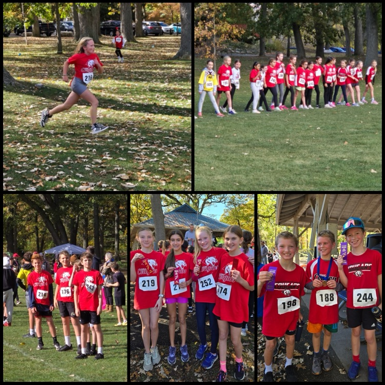 students competing in cross country running